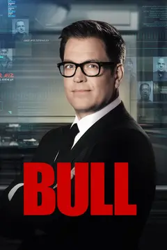 Bull poster