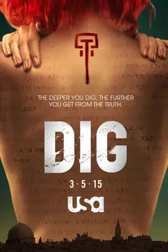 Dig poster