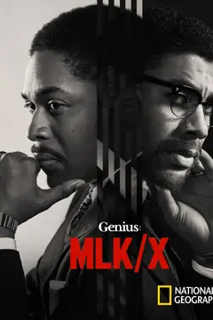 Genius poster