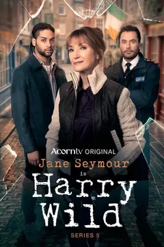 Harry Wild poster