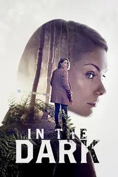 In the Dark poster