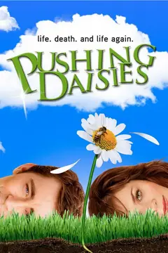 Pushing Daisies poster