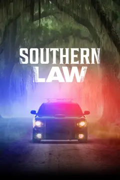 Southern Law poster