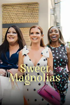 Sweet Magnolias poster