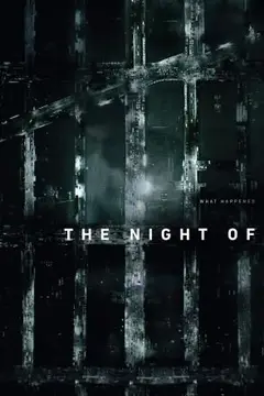 The Night Of poster