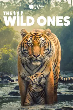 The Wild Ones poster
